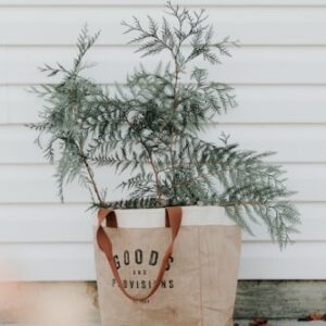 Herbal Bath Soak
